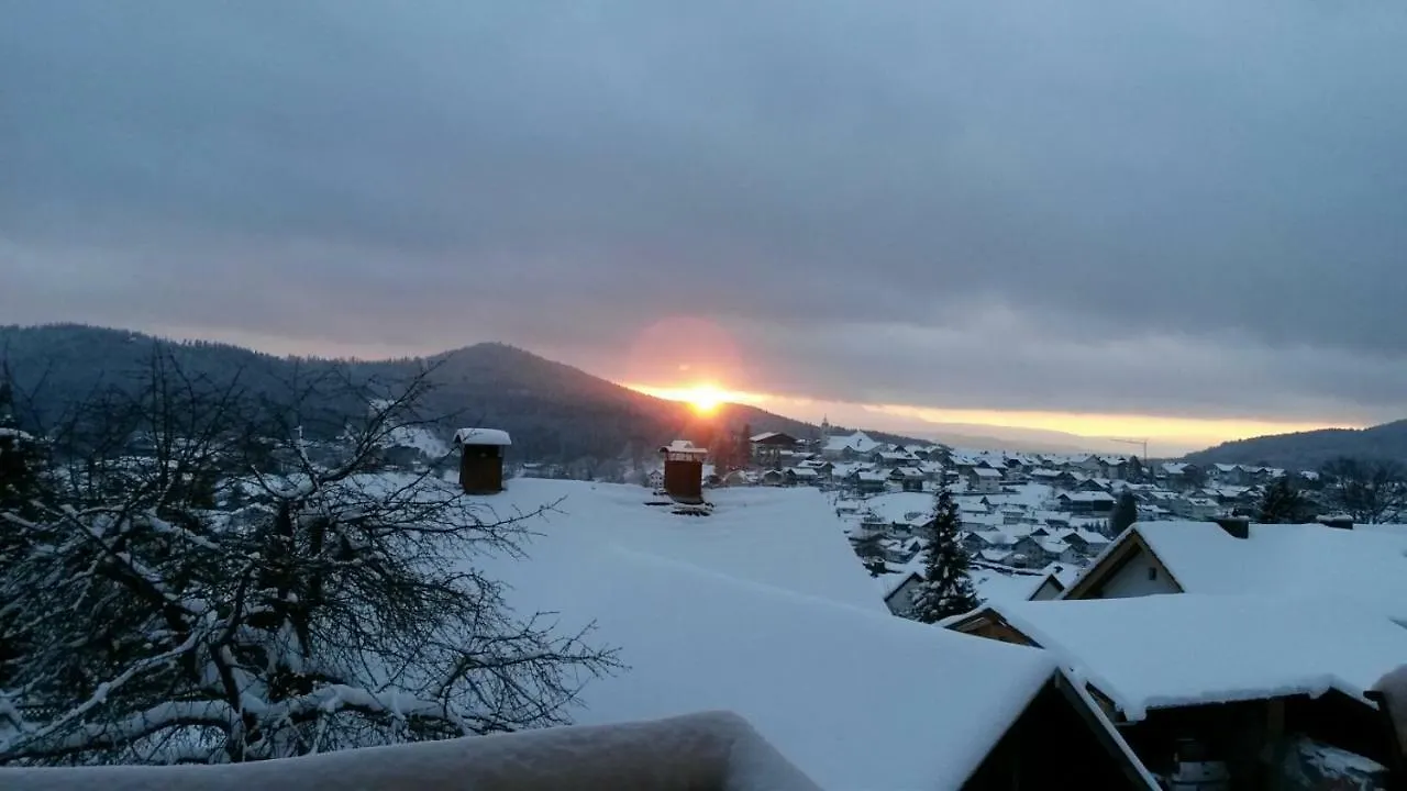 فندق Ferien- Und Aktivhotel Zum Arber بودنمايس